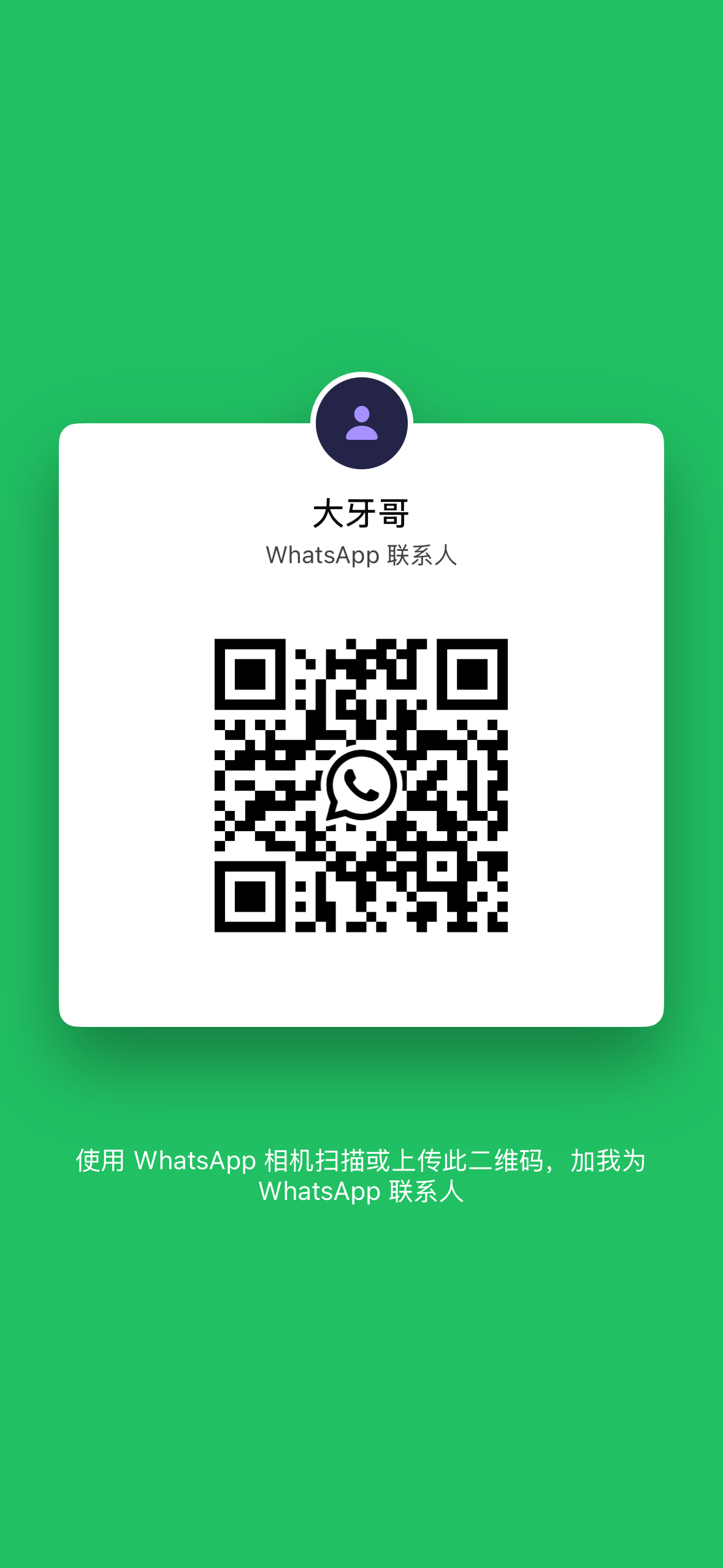 WhatsApp 二维码